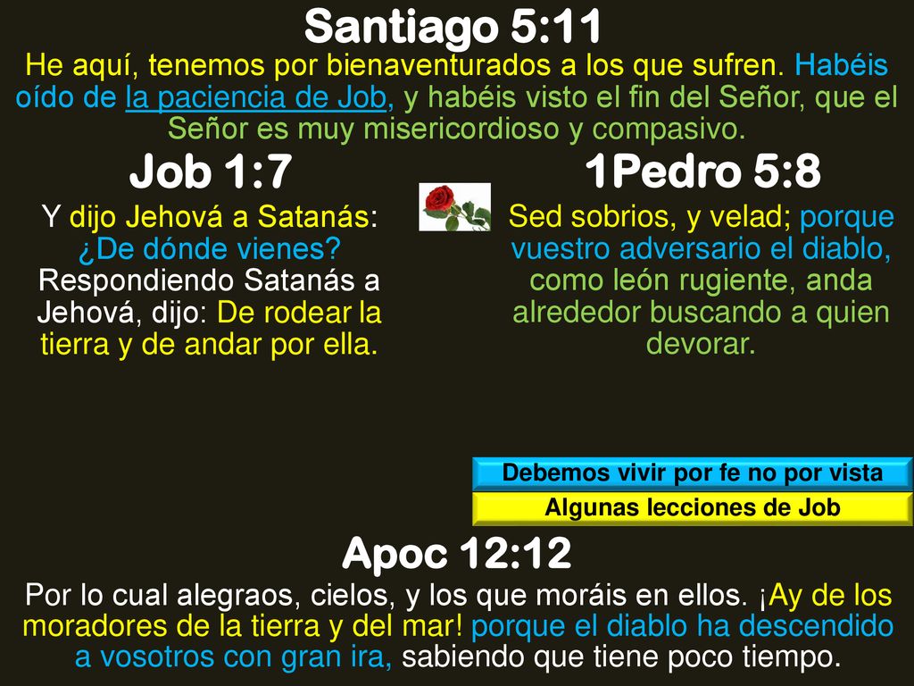 Debemos vivir por fe no por vista Algunas lecciones de Job