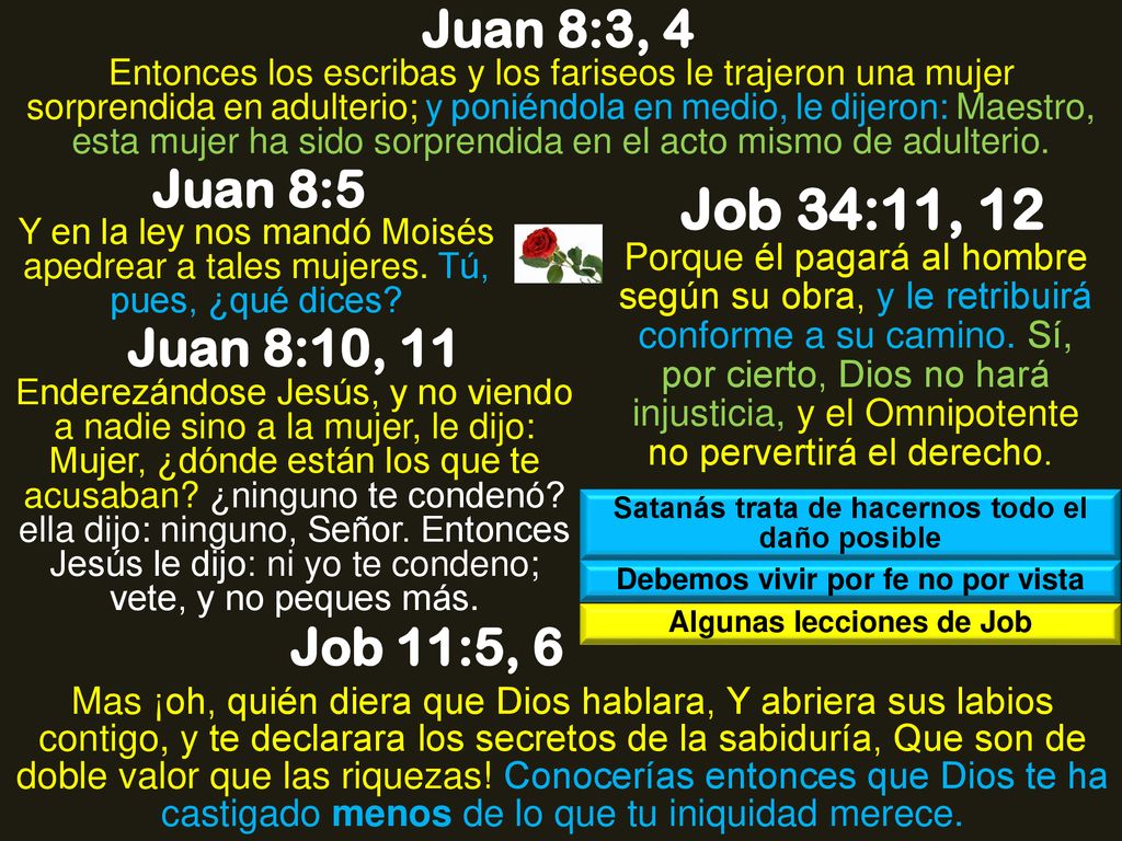 Job 34:11, 12 Juan 8:3, 4 Juan 8:5 Juan 8:10, 11 Job 11:5, 6