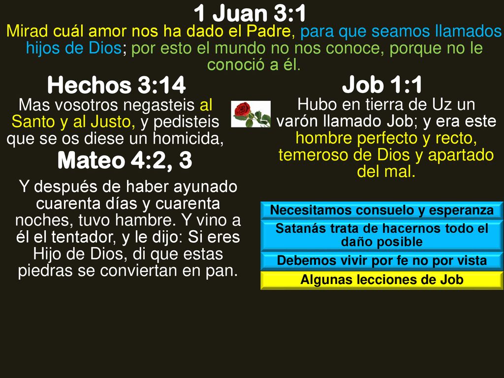 1 Juan 3:1 Hechos 3:14 Job 1:1 Mateo 4:2, 3