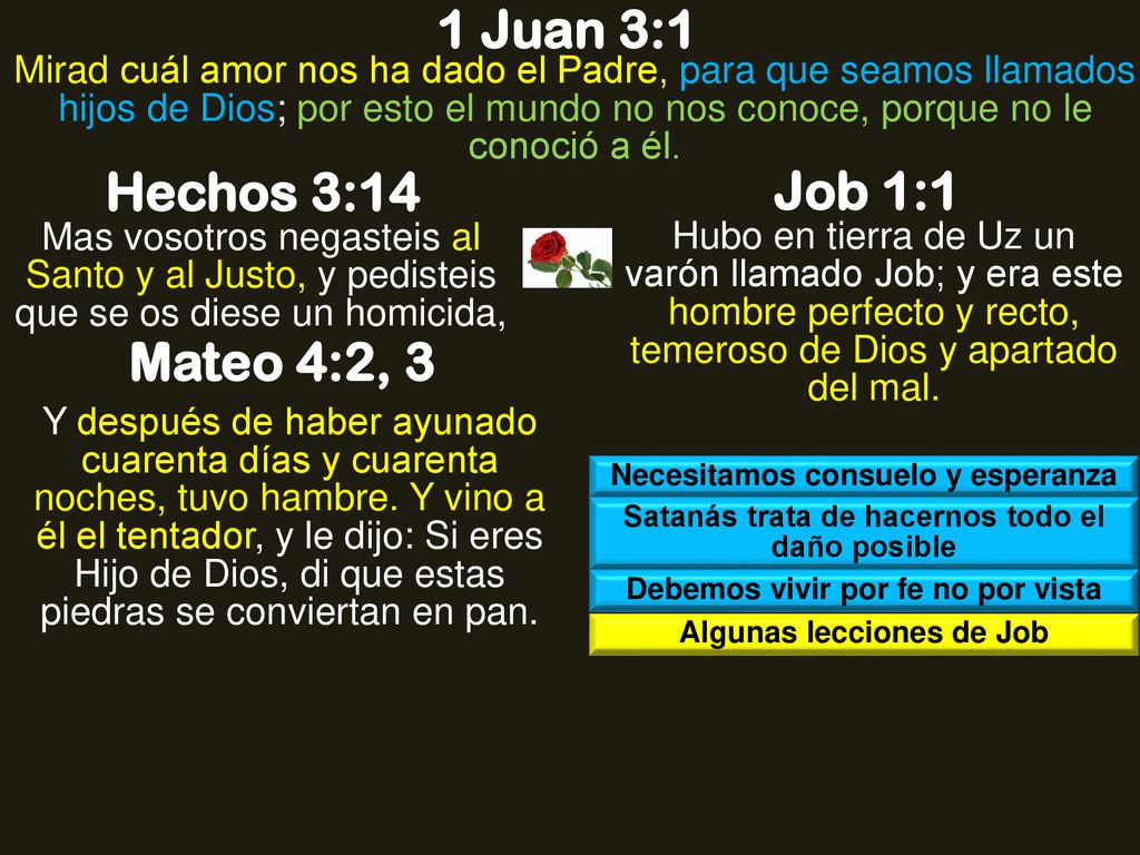 1 Juan 3:1 Hechos 3:14 Job 1:1 Mateo 4:2, 3
