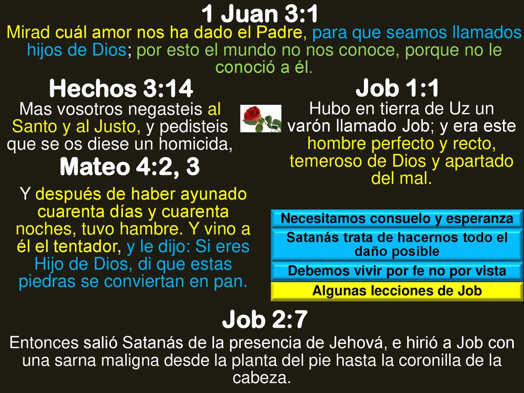1 Juan 3:1 Hechos 3:14 Job 1:1 Mateo 4:2, 3 Job 2:7