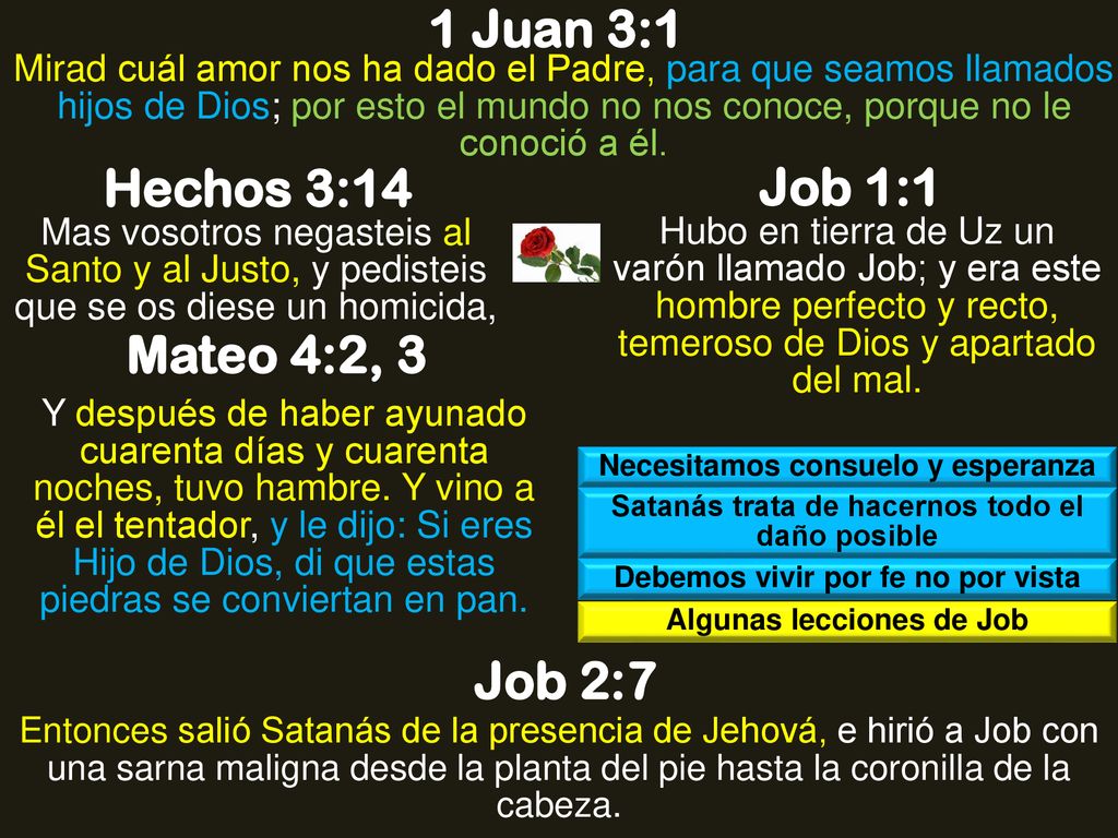 1 Juan 3:1 Hechos 3:14 Job 1:1 Mateo 4:2, 3 Job 2:7