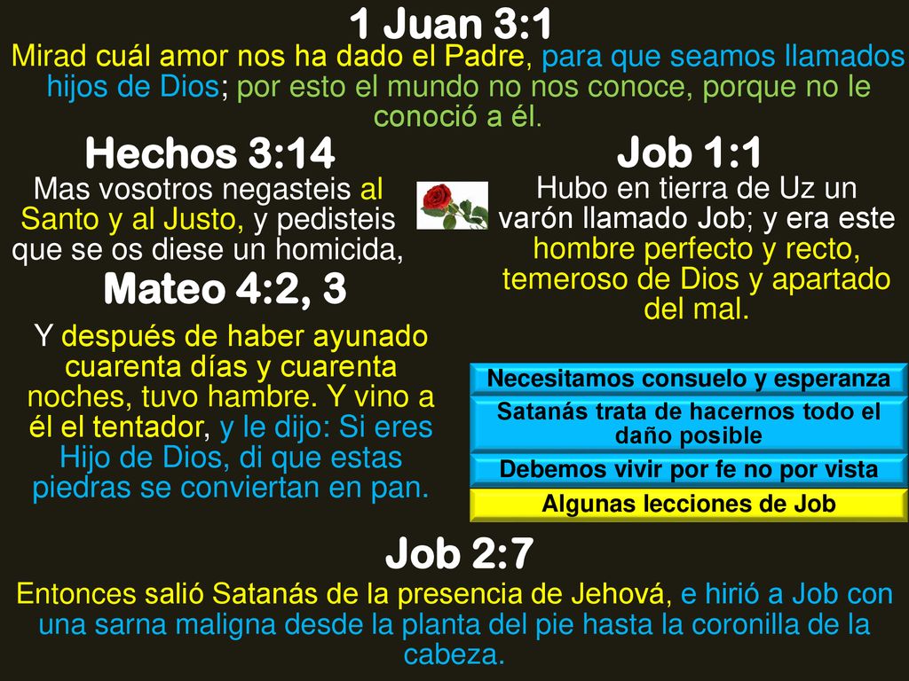 1 Juan 3:1 Hechos 3:14 Job 1:1 Mateo 4:2, 3 Job 2:7