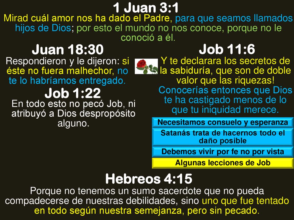 1 Juan 3:1 Juan 18:30 Job 11:6 Job 1:22 Hebreos 4:15