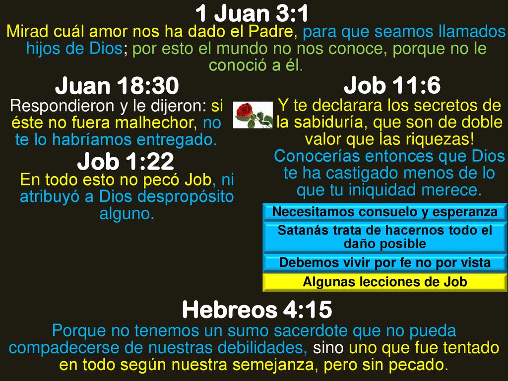 1 Juan 3:1 Juan 18:30 Job 11:6 Job 1:22 Hebreos 4:15