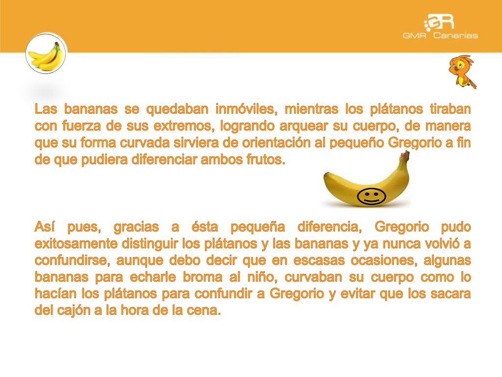 Las bananas se quedaban inmóviles, mientras los plátanos tiraban con fuerza de sus extremos, logrando arquear su cuerpo, de manera que su forma curvada sirviera de orientación al pequeño Gregorio a fin de que pudiera diferenciar ambos frutos.