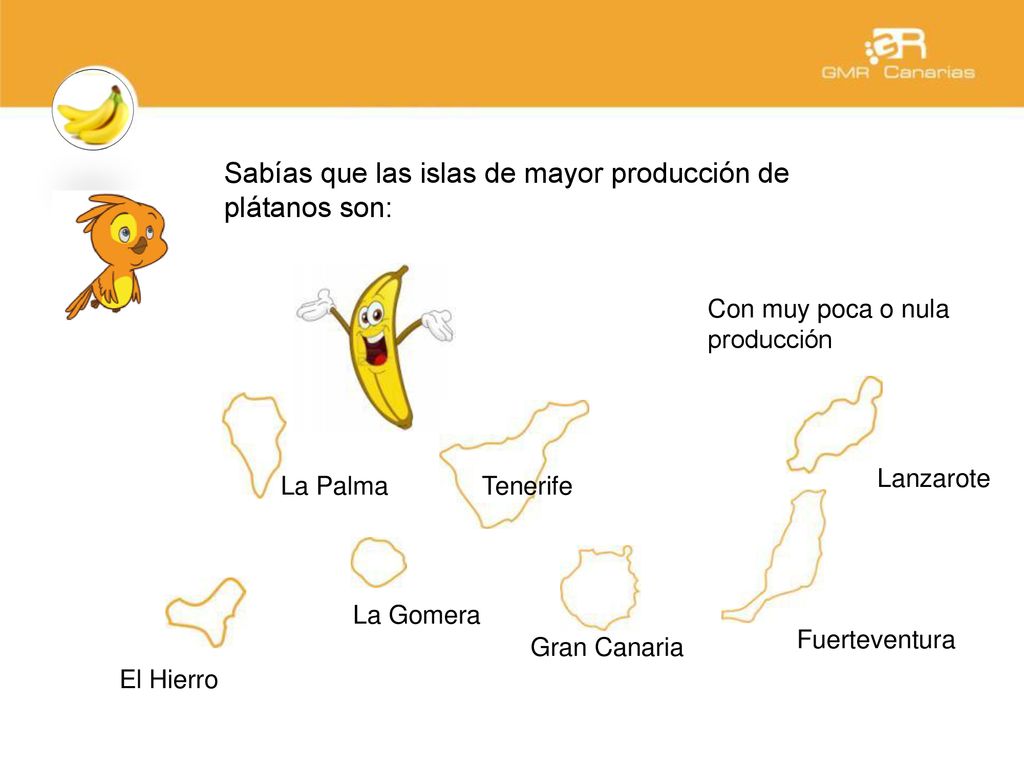 Sabías que las islas de mayor producción de plátanos son: