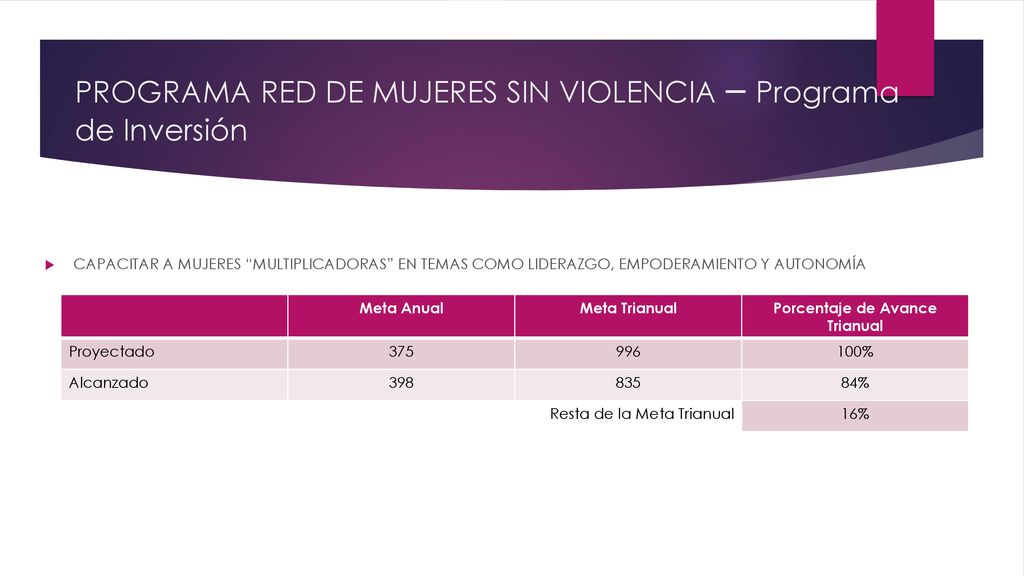 PROGRAMA RED DE MUJERES SIN VIOLENCIA – Programa de Inversión