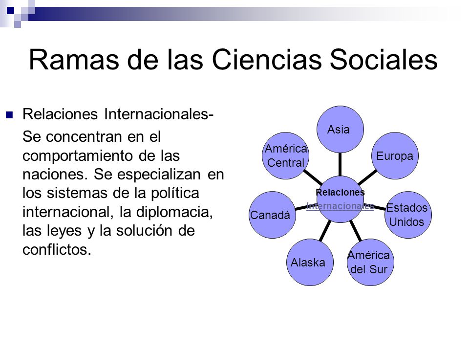 Decimal sociedad pecho La Sociología y los Estudios Sociales - ppt video online descargar