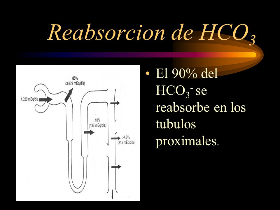 Reabsorcion de HCO3 El 90% del HCO3- se reabsorbe en los tubulos proximales.