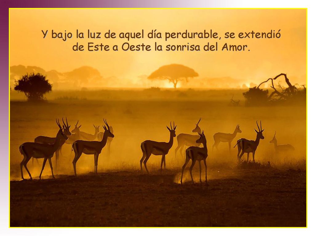 Y bajo la luz de aquel día perdurable, se extendió de Este a Oeste la sonrisa del Amor.