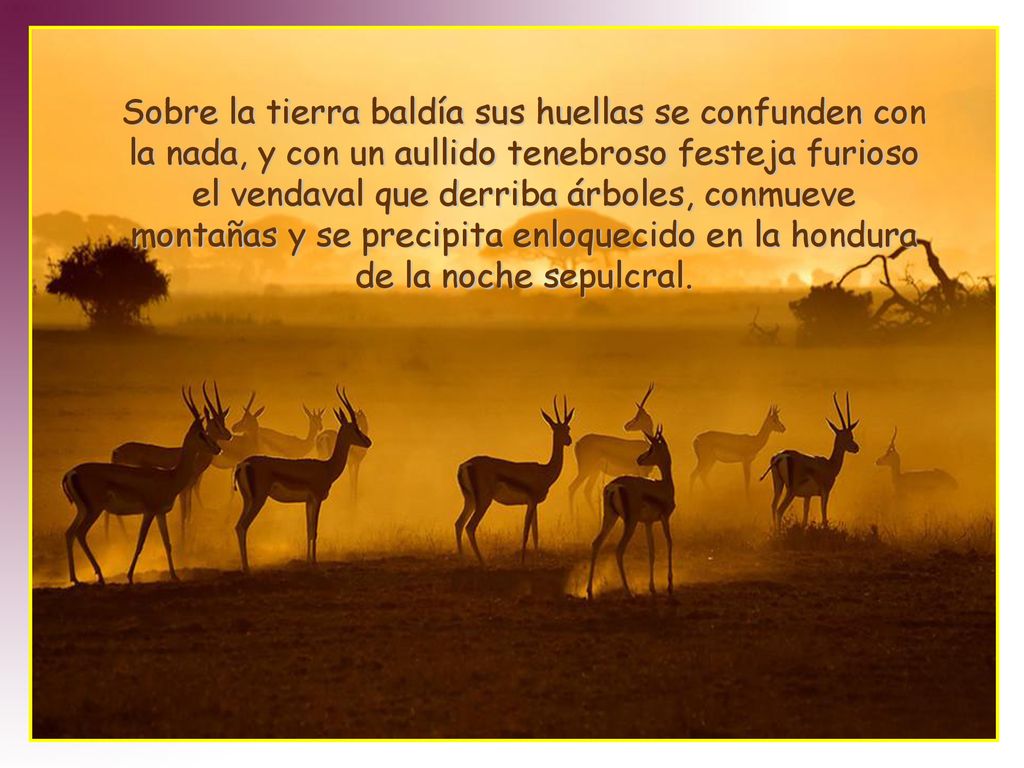 Sobre la tierra baldía sus huellas se confunden con la nada, y con un aullido tenebroso festeja furioso el vendaval que derriba árboles, conmueve montañas y se precipita enloquecido en la hondura de la noche sepulcral.
