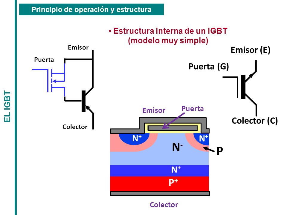 Principio de operación y estructura Estructura interna de un IGBT