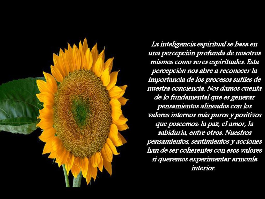 La inteligencia espiritual se basa en una percepción profunda de nosotros mismos como seres espirituales.