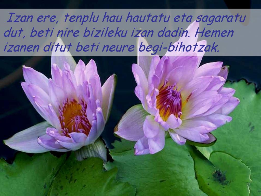 Izan ere, tenplu hau hautatu eta sagaratu dut, beti nire bizileku izan dadin.