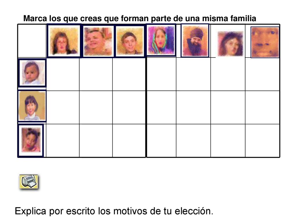 Marca los que creas que forman parte de una misma familia
