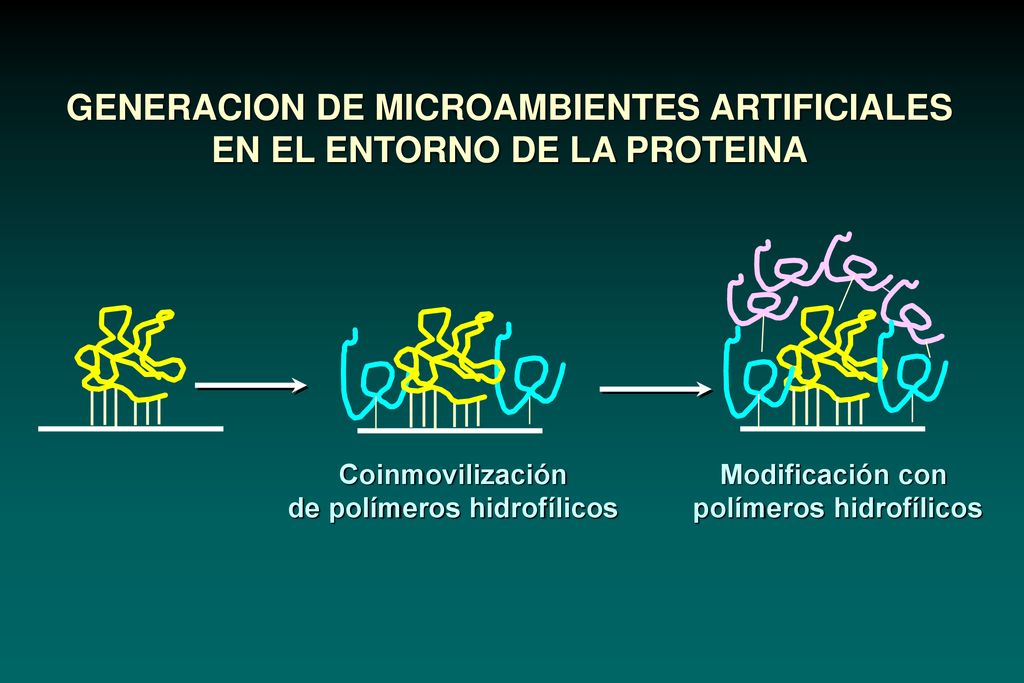 GENERACION DE MICROAMBIENTES ARTIFICIALES EN EL ENTORNO DE LA PROTEINA