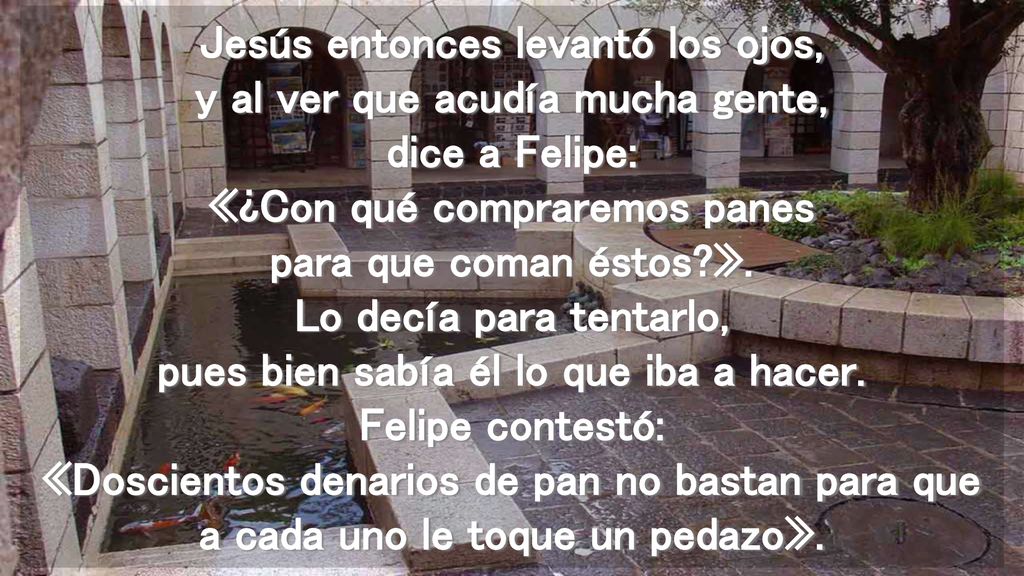 Jesús entonces levantó los ojos, y al ver que acudía mucha gente, dice a Felipe: «¿Con qué compraremos panes para que coman éstos ».