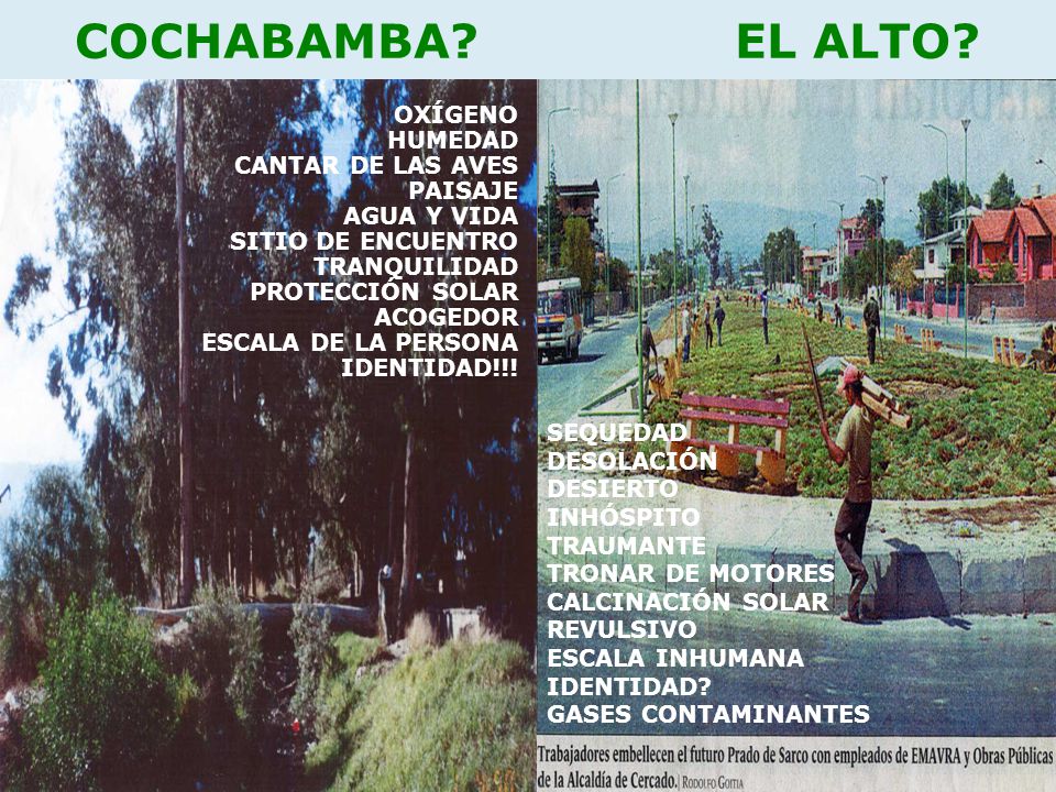 COCHABAMBA EL ALTO OXÍGENO HUMEDAD CANTAR DE LAS AVES PAISAJE