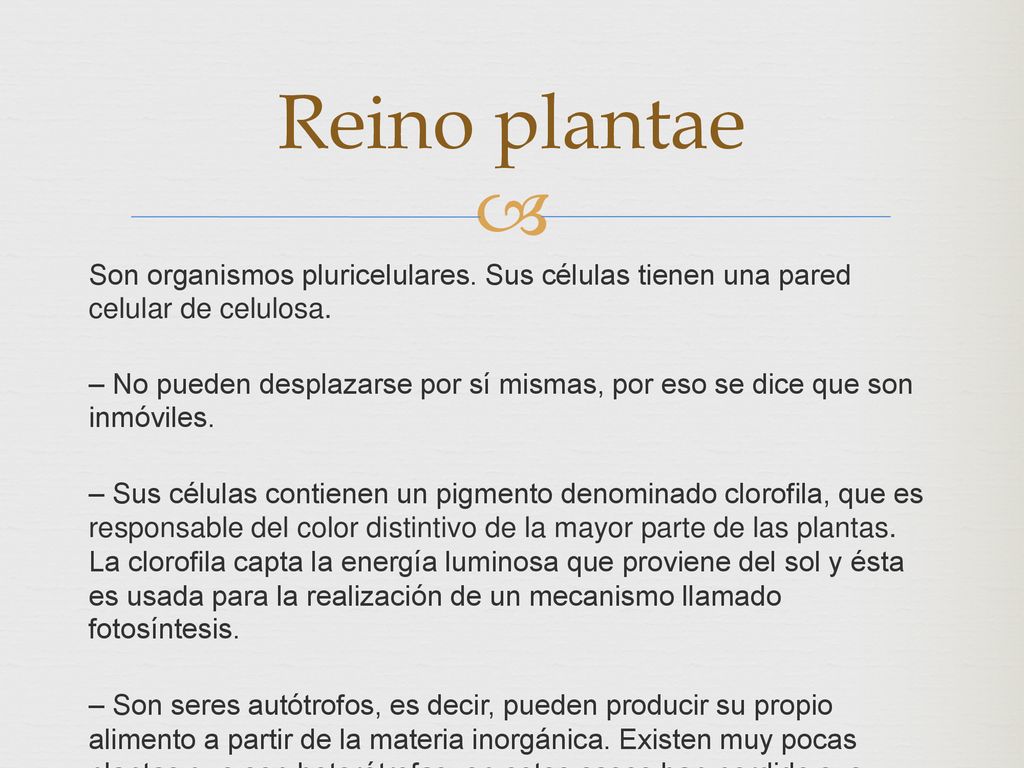 Reino plantae Son organismos pluricelulares. Sus células tienen una pared celular de celulosa.