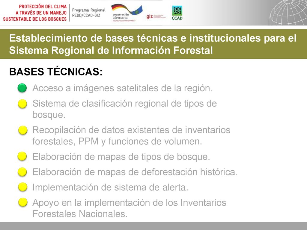 Establecimiento de bases técnicas e institucionales para el Sistema Regional de Información Forestal