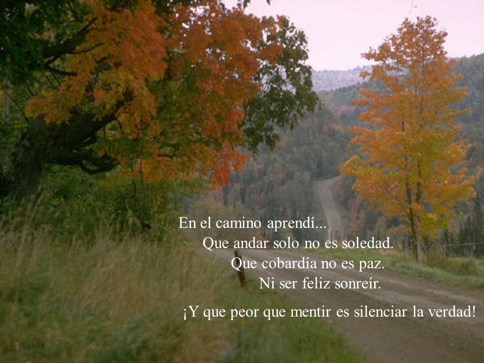 En el camino aprendí... Que andar solo no es soledad. Que cobardía no es paz. Ni ser feliz sonreír.