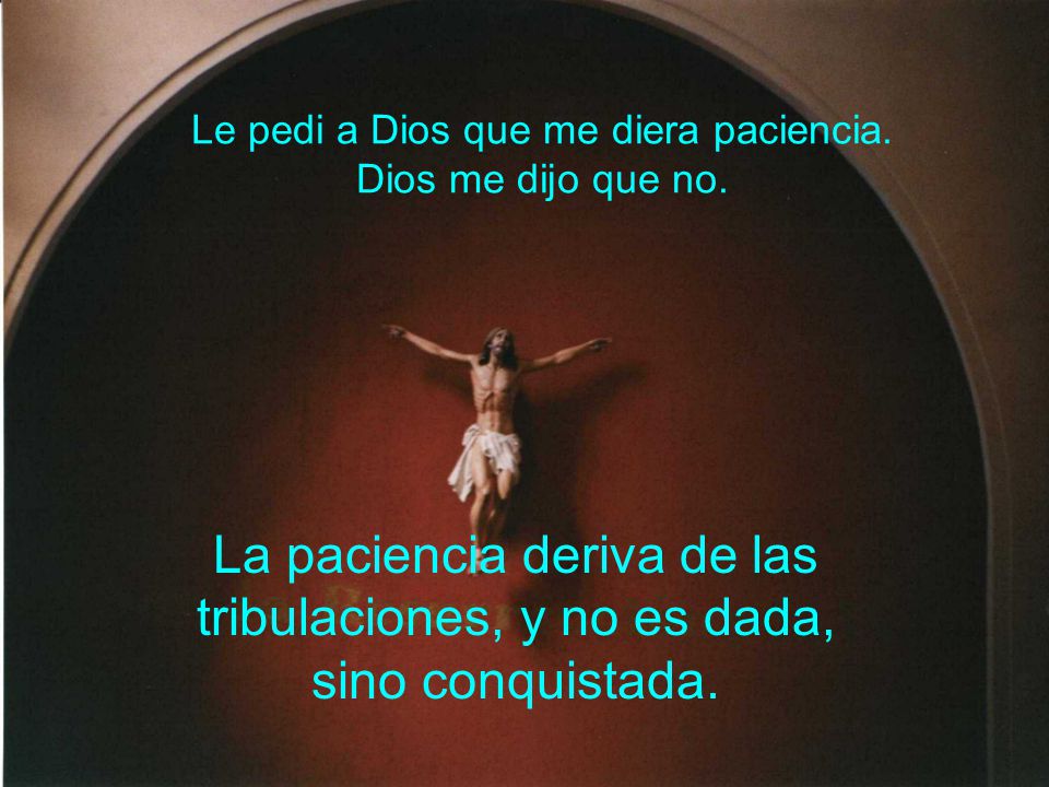 Le pedi a Dios que me diera paciencia. Dios me dijo que no.