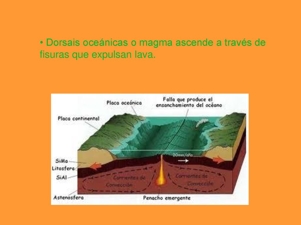 • Dorsais oceánicas o magma ascende a través de fisuras que expulsan lava.