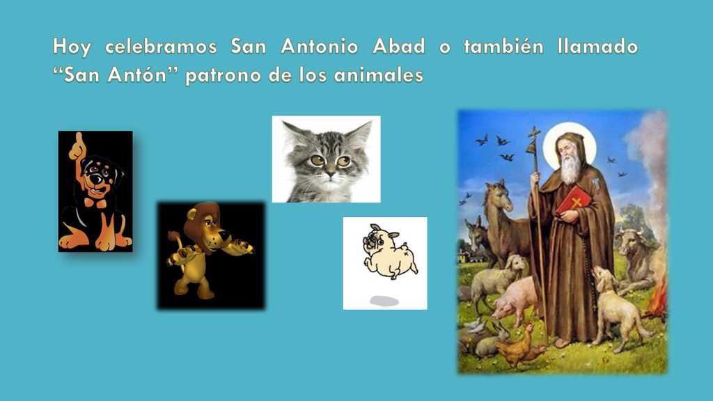 Hoy celebramos San Antonio Abad o también llamado San Antón patrono de los animales