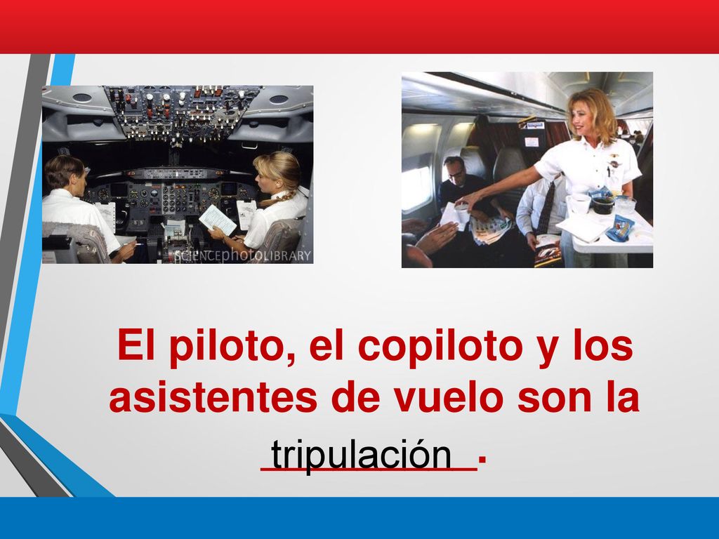 El piloto, el copiloto y los asistentes de vuelo son la _________.