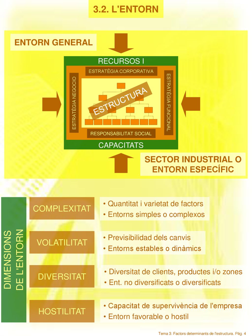 3.2. L ENTORN DIMENSIONS DE L ENTORN ENTORN GENERAL ESTRUCTURA