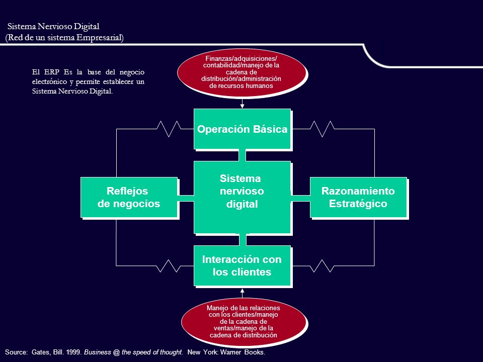 Sistema Nervioso Digital (Red de un sistema Empresarial)