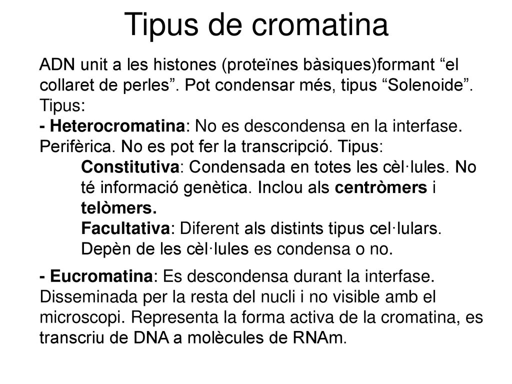 Tipus de cromatina ADN unit a les histones (proteïnes bàsiques)formant el collaret de perles . Pot condensar més, tipus Solenoide .