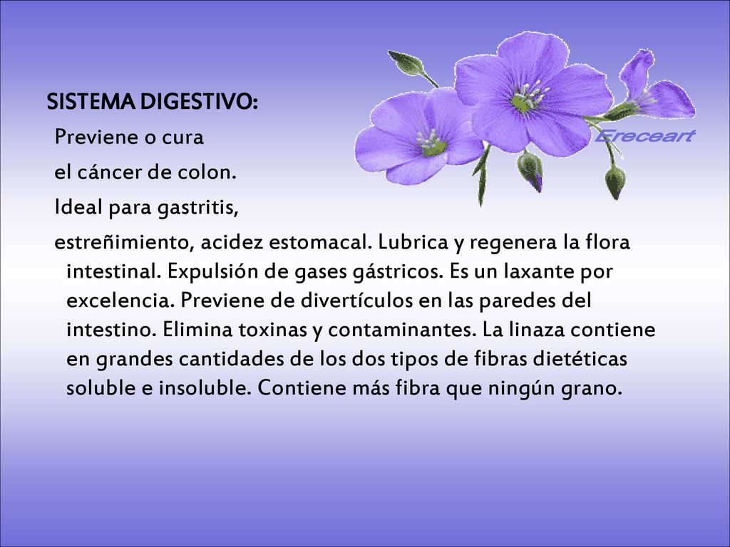 Ereceart Previene o cura el cáncer de colon. Ideal para gastritis,