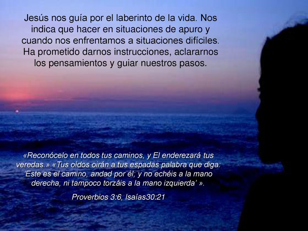Jesús nos guía por el laberinto de la vida