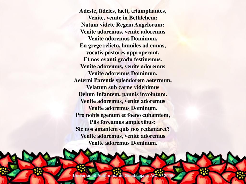 Venite adoremus, venite adoremus Venite adoremus Dominum.