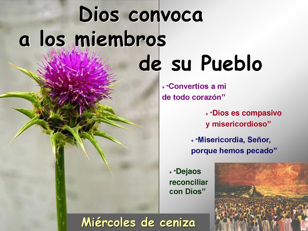 Dios convoca a los miembros de su Pueblo Miércoles de ceniza