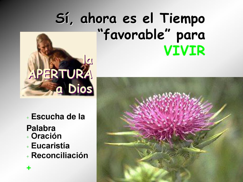 Sí, ahora es el Tiempo favorable para VIVIR la APERTURA a Dios