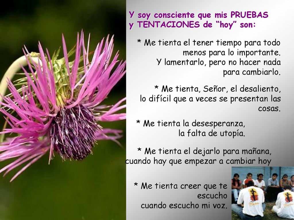 Y soy consciente que mis PRUEBAS y TENTACIONES de hoy son: