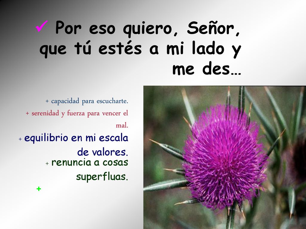  Por eso quiero, Señor, que tú estés a mi lado y me des…