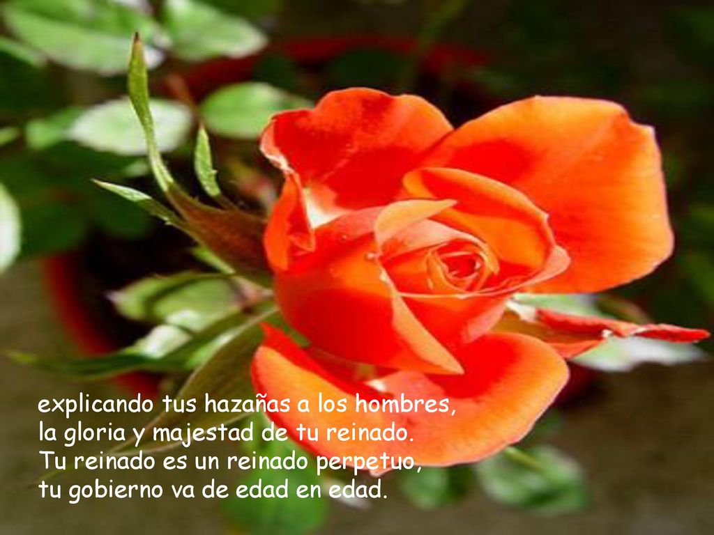 explicando tus hazañas a los hombres, la gloria y majestad de tu reinado.