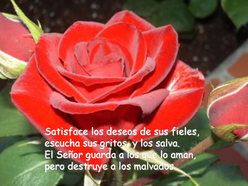 Satisface los deseos de sus fieles, escucha sus gritos, y los salva