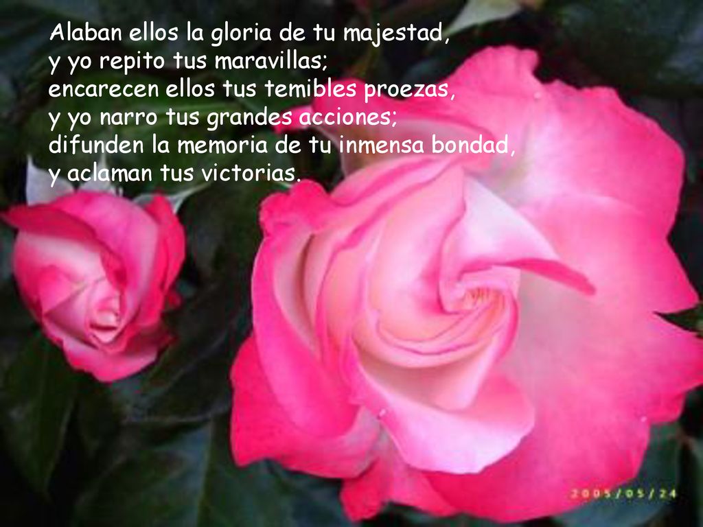Alaban ellos la gloria de tu majestad, y yo repito tus maravillas; encarecen ellos tus temibles proezas, y yo narro tus grandes acciones; difunden la memoria de tu inmensa bondad, y aclaman tus victorias.