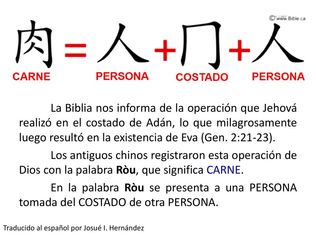 La Biblia nos informa de la operación que Jehová realizó en el costado de Adán, lo que milagrosamente luego resultó en la existencia de Eva (Gen. 2:21-23). Los antiguos chinos registraron esta operación de Dios con la palabra Ròu, que significa CARNE. En la palabra Ròu se presenta a una PERSONA tomada del COSTADO de otra PERSONA.