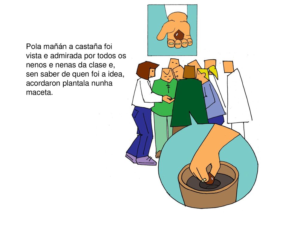 Pola mañán a castaña foi vista e admirada por todos os nenos e nenas da clase e, sen saber de quen foi a idea, acordaron plantala nunha maceta.