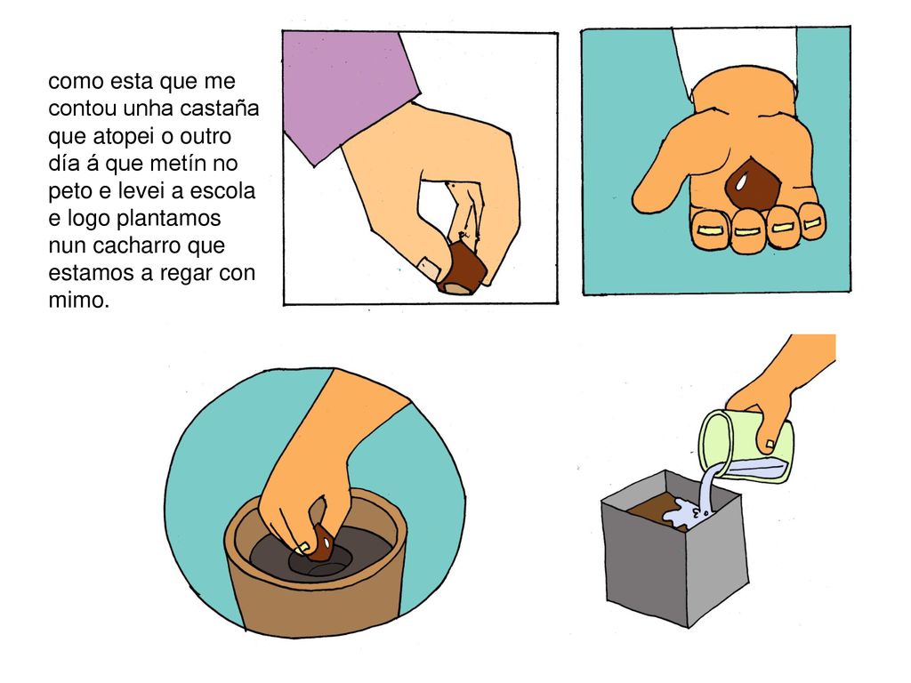 como esta que me contou unha castaña que atopei o outro día á que metín no peto e levei a escola e logo plantamos nun cacharro que estamos a regar con mimo.