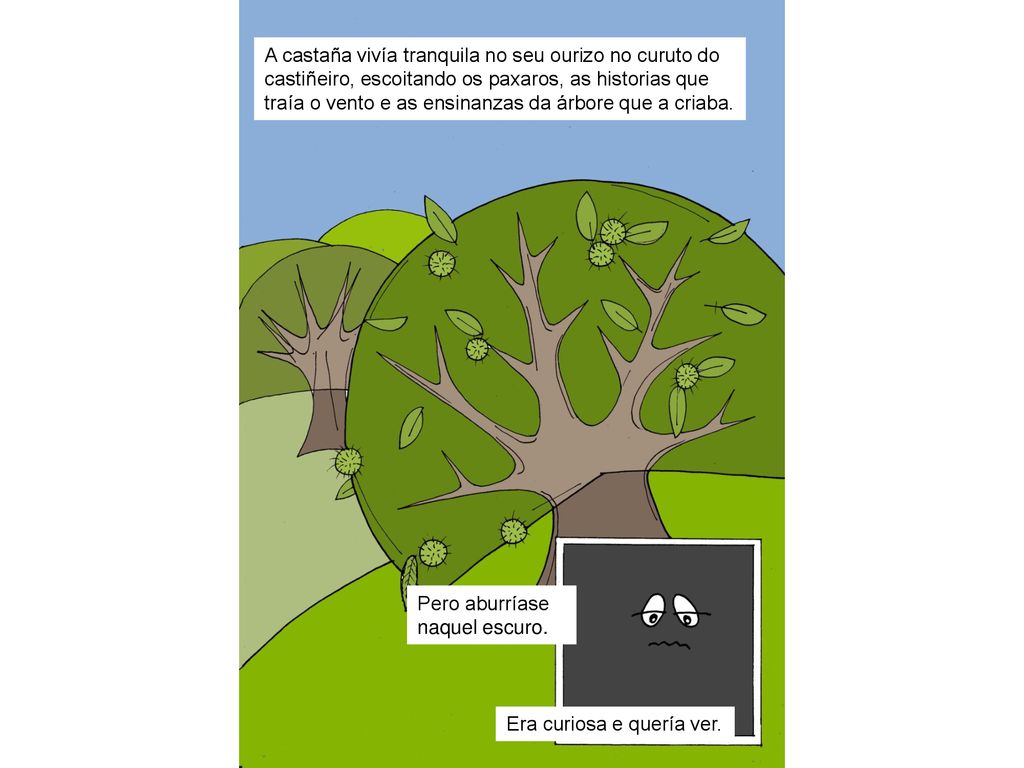 A castaña vivía tranquila no seu ourizo no curuto do castiñeiro, escoitando os paxaros, as historias que traía o vento e as ensinanzas da árbore que a criaba.