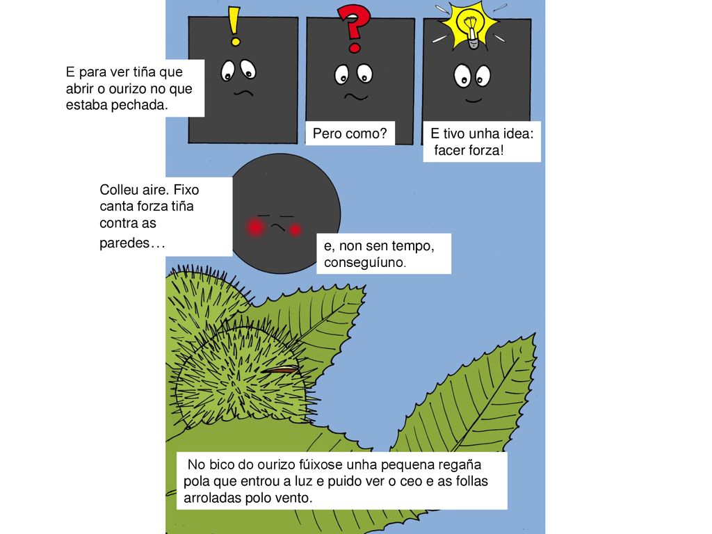 E para ver tiña que abrir o ourizo no que estaba pechada.