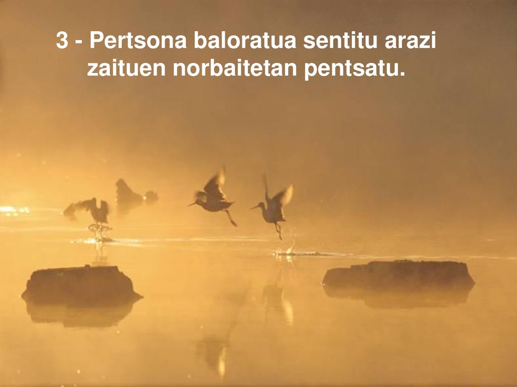3 - Pertsona baloratua sentitu arazi zaituen norbaitetan pentsatu.