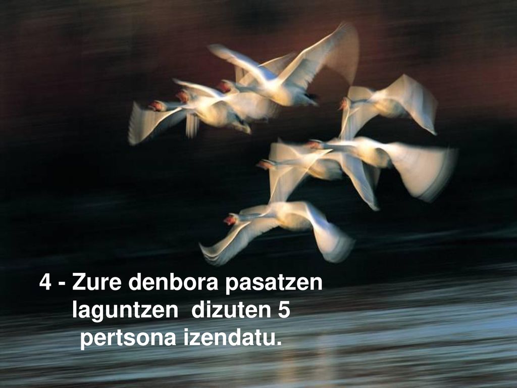 4 - Zure denbora pasatzen laguntzen dizuten 5 pertsona izendatu.